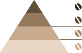コーヒーピラミッド