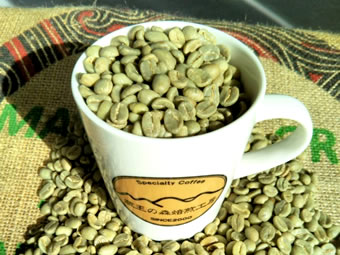 蔵王の森焙煎工房 珈琲 生豆