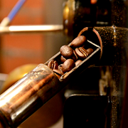 コーヒーを知る